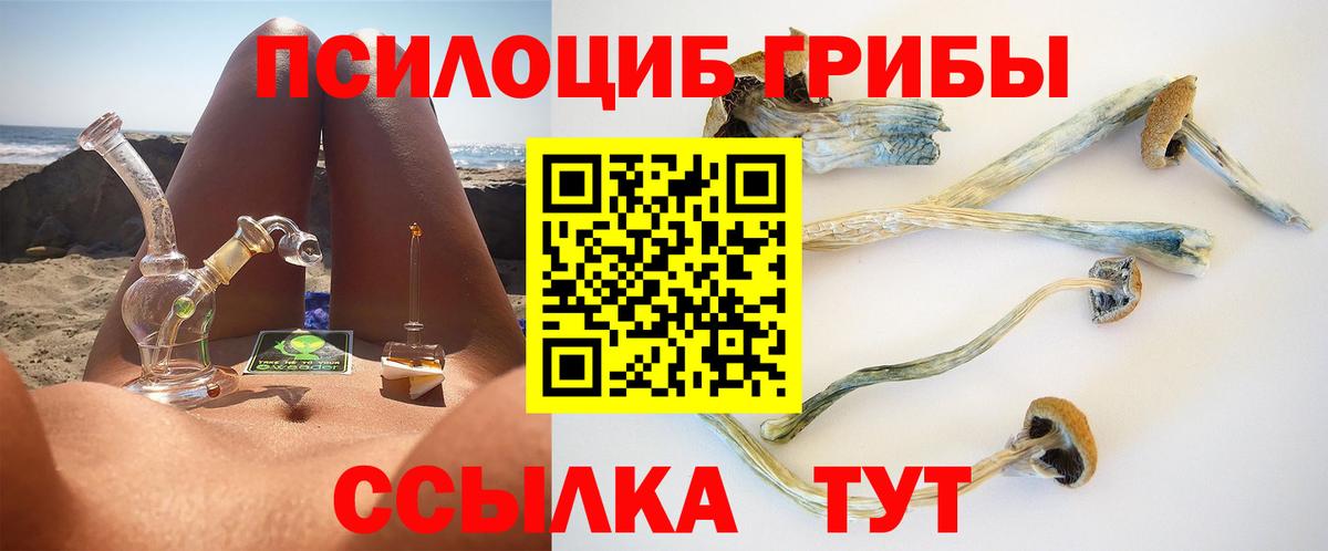 Псилоцибиновые грибы мухоморы  Вход с VPN  Галлюциногенные грибы Psilocybine cubensis  Калининград 