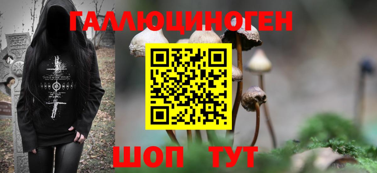 Псилоцибиновые грибы Psilocybine cubensis Калининград